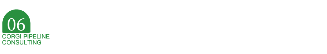 IPD的分析工具与模型（十二）用TPM来衡量流程管理成熟度，提高业务与管理水平(图8)